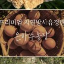 정기1농장 이미지