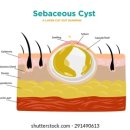 둔산싱싱튼튼의원 이미지
