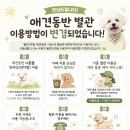 반앤테라스 | 화순 알메 커피앤브런치 후기 강아지랑 가는 화순 브런치 애견동반 카페
