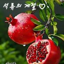 소녀시절 카카오 검색결과