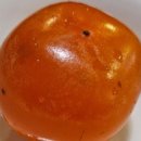 자연과사람들민박 이미지