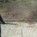 동명초등학교 병설유치원 이미지