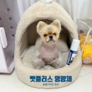 더플러스에너지 | 강아지영양제 추천💛 벳플러스 콤플리비트 에너지 보충 영양제 후기✨