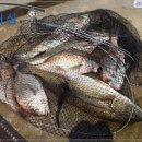 어심바다낚시터 이미지