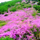 (주)오천주유소 이미지