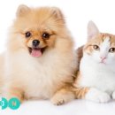 싱그런정원약국 이미지