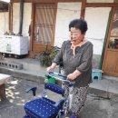 단양노인복지관 이미지