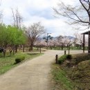 나무고아원 이미지