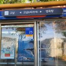 영목항정류소 이미지