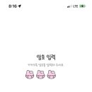 테마21 이미지
