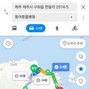 동아동물병원 이미지