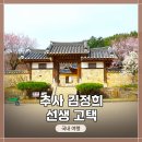 예산-43 | 충남 예산군 여행! &lt;추사 김정희 선생 고택&gt; 방문기 / 봄꽃 사진 촬영