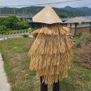도롱이와 나막신/沃溝 서길순 이미지