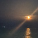 바다풍경펜션도시어부 이미지