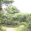 대정읍-3 이미지