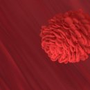 세동한의원 이미지