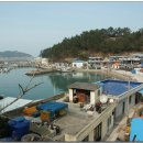 도목리 Daum카페