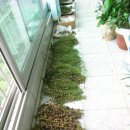 동두천역 이미지