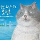 뚱보 고양이 이미지