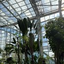 씨유 대전하늘바람점 | 대전 한밭수목원 후기｜단풍 절정 시기·포토스팟·열대식물원, 주차까지 총정리