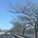 마암 | 세종 근교 공주 드라이브 추천 카페 | 카페마암 MaAm 내돈내산 숲뷰 감성 카페 장단점 생생 후기 샷...