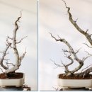 소사3로 이미지