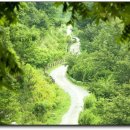 군도11호선 이미지