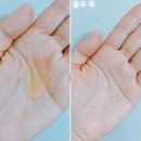 6가지 식물성 오일 로브로제 극손상 리페어 헤어오일