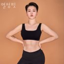 열정핏