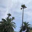 송포펜션 | 제주 판포펜션 10만원대 숙소 2인3인 가성비 깨끗한펜션 놀구름 후기