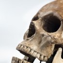 인천가톨릭대학교 대학원 | '뼈 때리는 한국사', 닥터 본즈 우은진