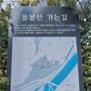 노란 개나리 숲을 보고 싶다면, 응봉산( 응봉역)에서 달맞이근린공원(옥수역)까지 약 1.4km를 걸어보세요.응봉산 이미지