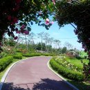 배산체육공원 앞 이미지