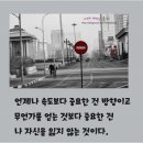 카피아 이미지