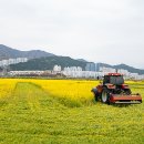 내꽃공원 이미지