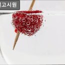 로즈빌고시원