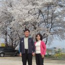 광현상회 Daum카페