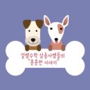 초등수학지도사1급 이미지