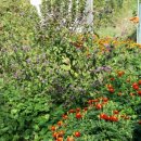 우용농장 이미지