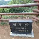 머슬뷰짐 이미지
