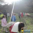돌산봉덕초등학교 Daum카페