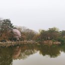 헤비메탈걸스 | 대학로 연극 추천 ： 헤비메탈걸스 후기 재밌어 ♥
