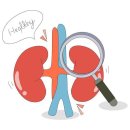 건강한 콩팥 유지하기 이미지