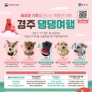 하루댕댕 이미지