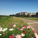 대명리조트 이미지