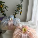 더달콤 | w. 부산 상견례 선물 🎁 정성 가득한 과일바구니, ‘더달콤 부산진구점’ 내돈내산 후기