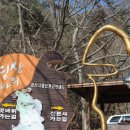 솔벗 이미지