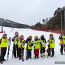 정릉 용인대 태권도장 네이버블로그