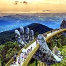 트라비건 이미지