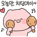 낙지무교동홍낙 이미지
